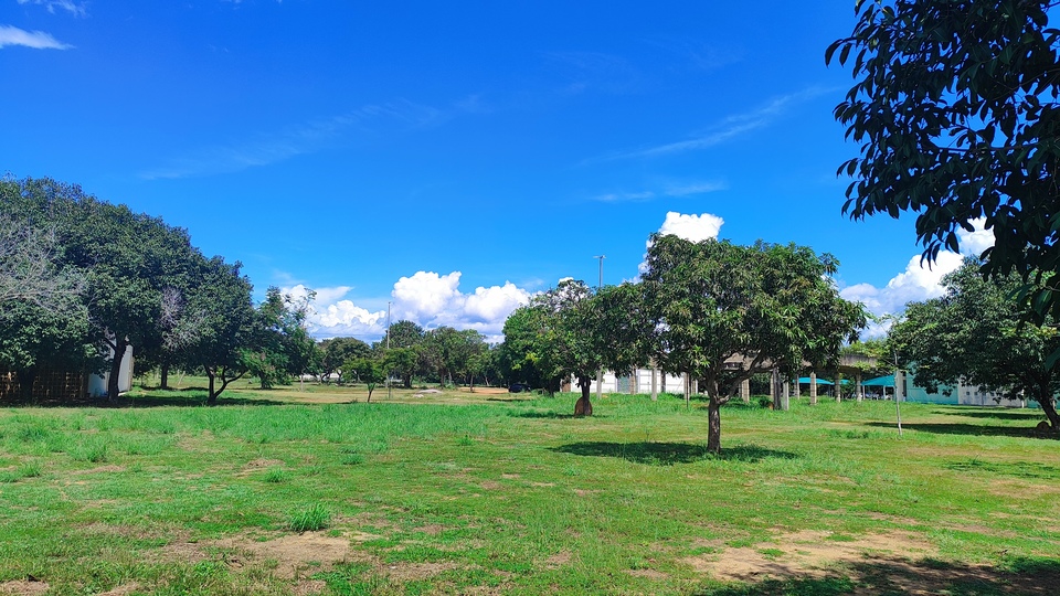 Parque deverá ocupar área de 1,3 mil metros quadrados, no Câmpus da UFT em Palmas (Foto: Samuel Lima/Sucom)